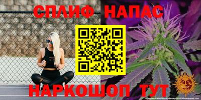 круглые Будённовск