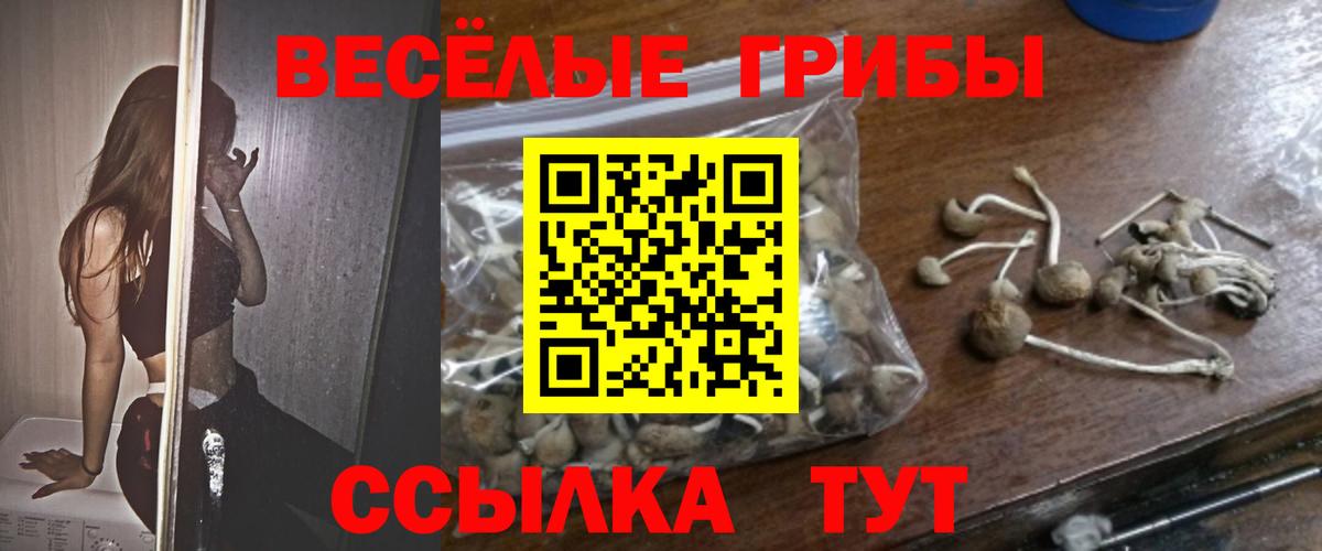 Псилоцибиновые грибы Cubensis Янаул