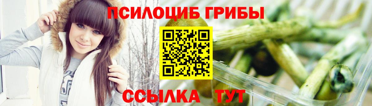 Псилоцибиновые грибы мицелий  Вход с VPN  Янаул 
